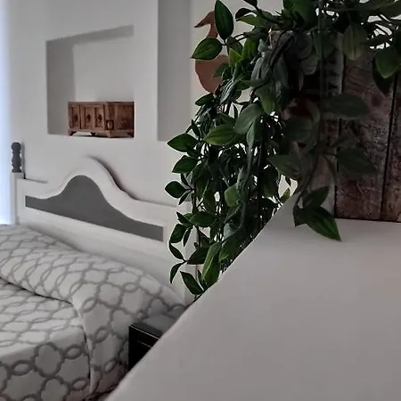 Apartamento Apto. Con Piscina El Flamboyán 1